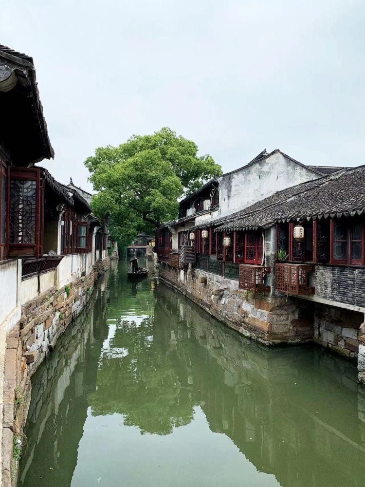 新乡一学校,小学生临时到初中部就餐,初中学长贴心帮学妹盛汤